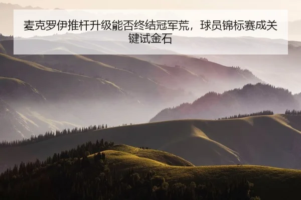 mai-ke-luo-yi-tui-gan-sheng-ji-neng-fou-zhong-jie-guan-jun-huang-qiu-yuan-jin-biao-sai-cheng-guan-jian-shi-jin-shi-2-594.jpg
