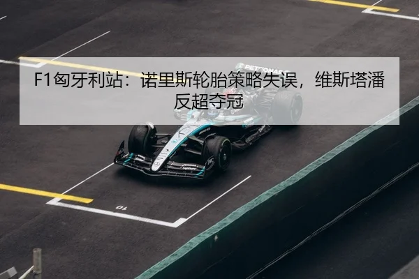 xiong-ya-li-zhan-nuo-li-si-lun-tai-ce-lve-shi-wu-wei-si-ta-pan-fan-chao-duo-guan-3-387.jpg