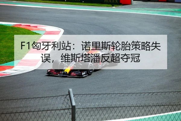 F1匈牙利站：诺里斯轮胎策略失误，维斯塔潘反超夺冠