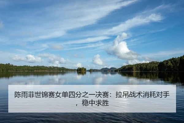 陈雨菲世锦赛女单四分之一决赛：拉吊战术消耗对手，稳中求胜