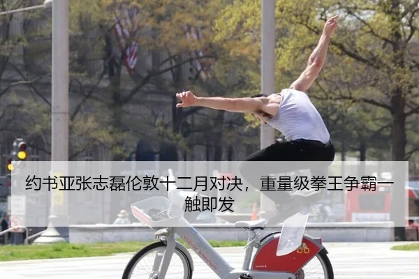 约书亚张志磊伦敦十二月对决，重量级拳王争霸一触即发