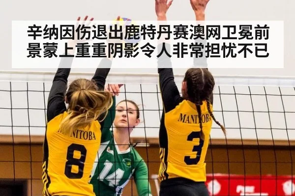 辛纳因伤退出鹿特丹赛澳网卫冕前景蒙上重重阴影令人非常担忧不已