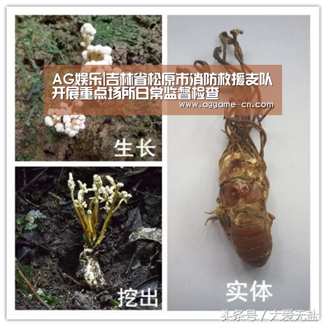 AG官方